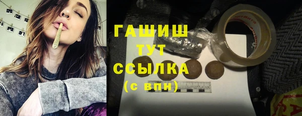гидра Верхний Тагил