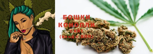 прущие грибы Верея