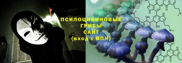 гидра Верхний Тагил