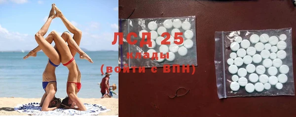 прущие грибы Верея