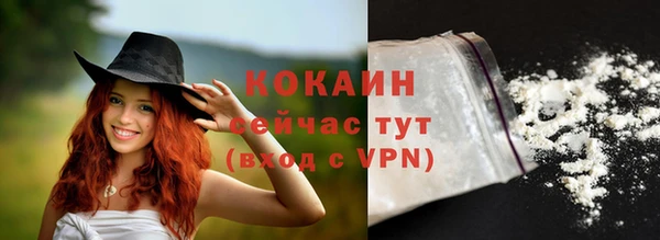 прущие грибы Верея