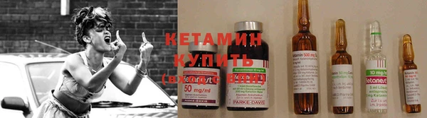 прущие грибы Верея