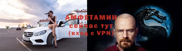 гидра Верхний Тагил