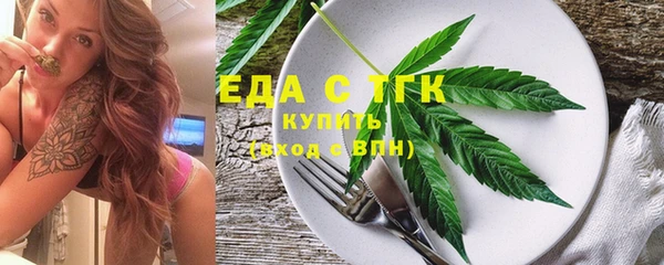 гидра Верхний Тагил
