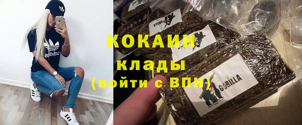 гидра Верхний Тагил