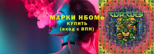 прущие грибы Верея
