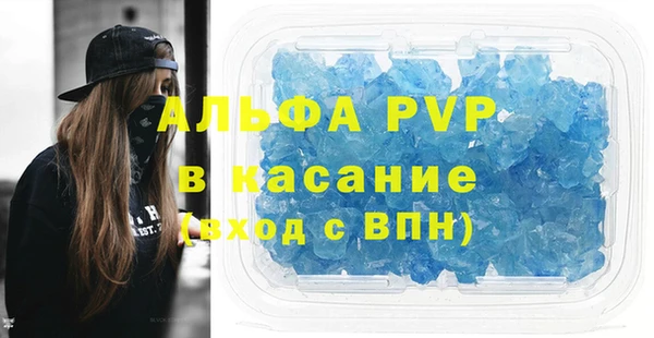 прущие грибы Верея