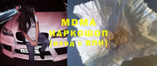 прущие грибы Верея
